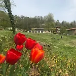 Nutrilamente Gæstehus Robella