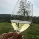 Nutrilamente Robella