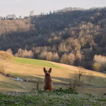 Nutrilamente Pensión Robella