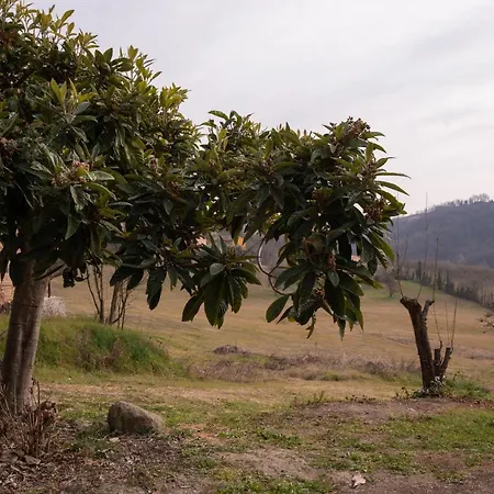 Nutrilamente 3* Robella